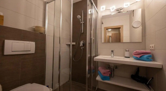 Номер Comfort Kamenhof