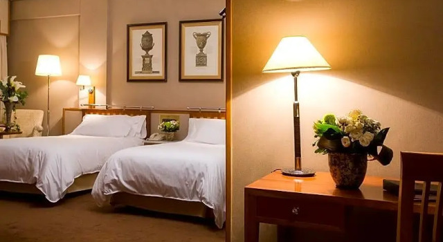 Номер Standard Hotel Palafox