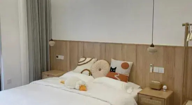 Люкс Deluxe Xingguang Homestay (Changzhi Shiliu Zhong)