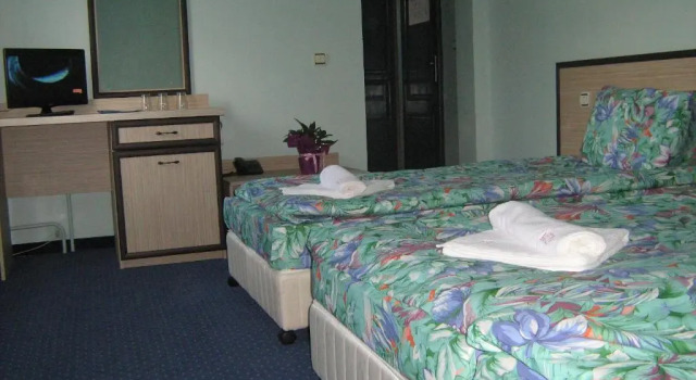 Номер Standard Hotel Emaly Green