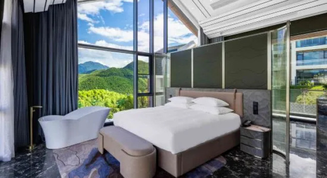 Люкс Дуплекс Banshanyinzhu Panda Hotel