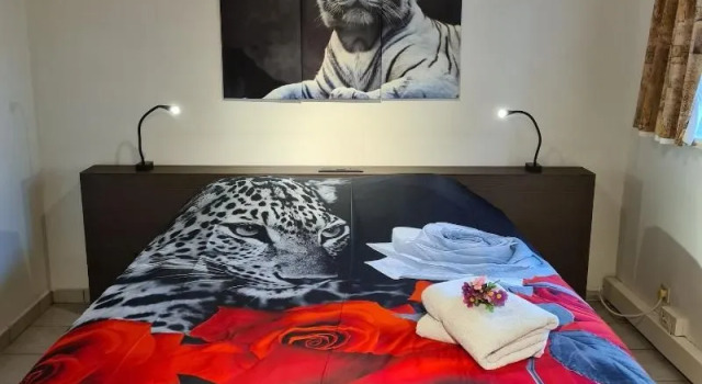 Homestay Gent