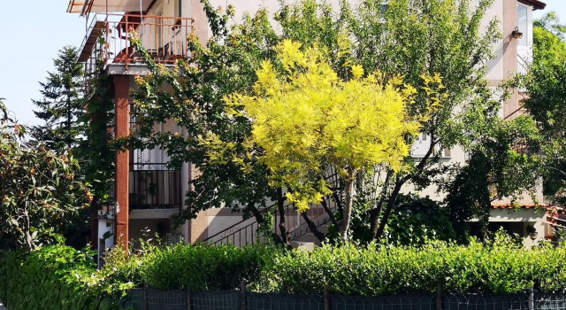 Arcobaleno isolano