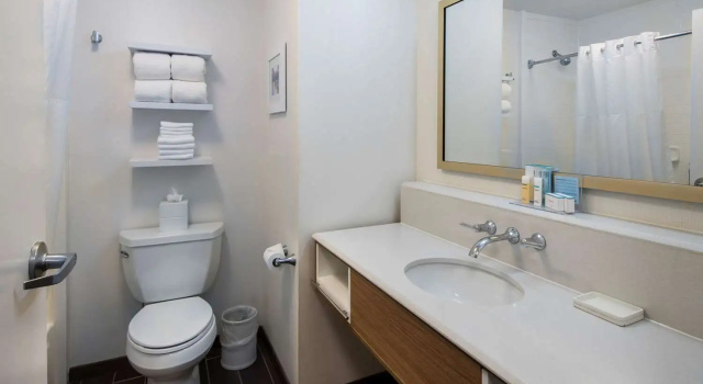 Четырёхместный номер Standard Hampton Inn & Suites Lincolnshire