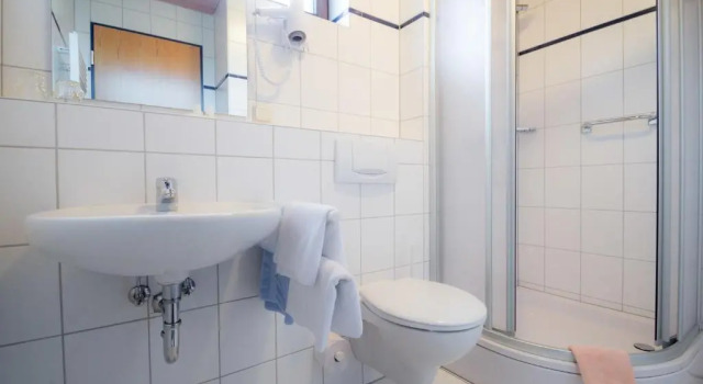 Двухместный номер Standard Hotel Am Lingelbach