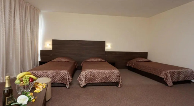 Двухместный номер Standard с балконом и с видом на парк Hotel Elena 24h. - Все включено
