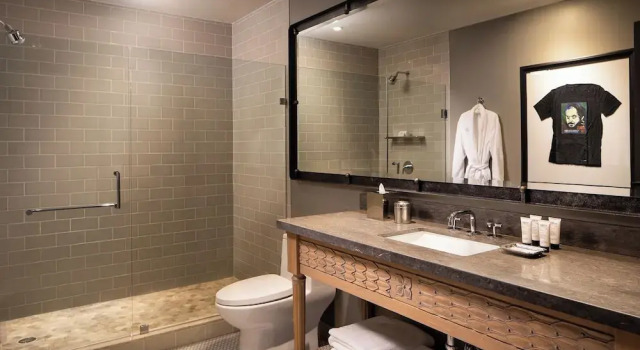 Полулюкс Hotel ZaZa Austin
