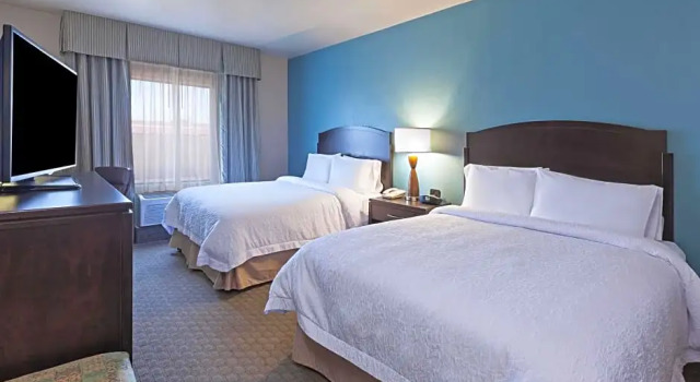 Двухместная студия Hampton Inn and Suites Lake Jackson-Clute