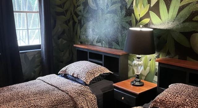 Люкс Belize Budget Suites