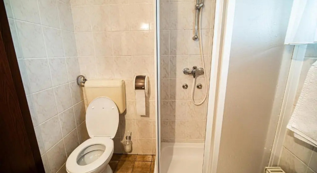 Двухместный номер Standard Guesthouse Leski Dvor