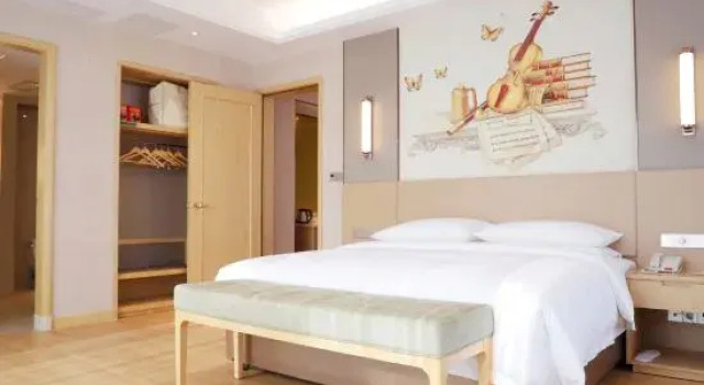 Люкс Deluxe Vienna International Hotel (Taiyuan South High-speed Railway Station)
