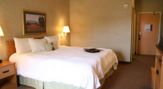 Номер Standard Hampton Inn & Suites Kalamazoo-Oshtemo