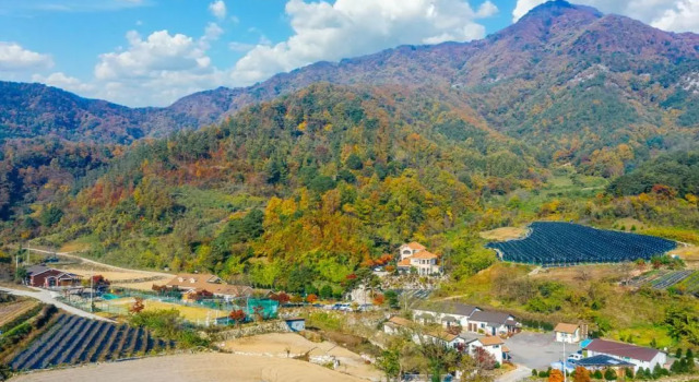 Danpoong Maul Pension, Rezervați Hotel Jeoksang-myeon Coreea de Sud