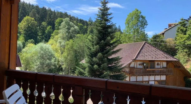 Одноместный номер Standard с балконом Landhotel Untere Kapfenhardter Mühle
