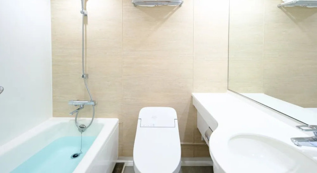 Двухместный номер клубный Premier Hotel Nikko Himeji
