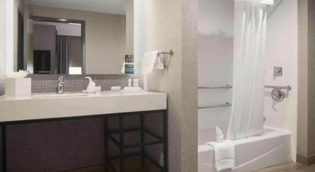 Люкс Homewood Suites by Hilton DFW Airport South, TX