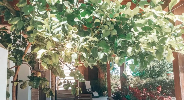 Номер Deluxe Agriturismo Santo Stefano