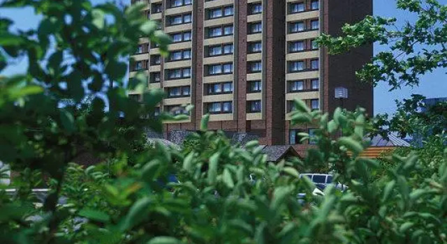Одноместный номер Standard Delta Hotels by Marriott Toronto Markham