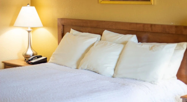 Номер Standard Norma Dan Motel - Near Dolly Parton's Stampede Dinner Attraction