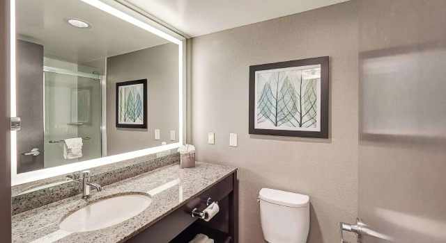 Четырёхместный номер Standard DoubleTree by Hilton Bloomington