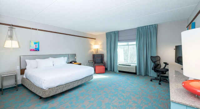 Двухместный номер Standard Hilton Garden Inn Asheville Downtown