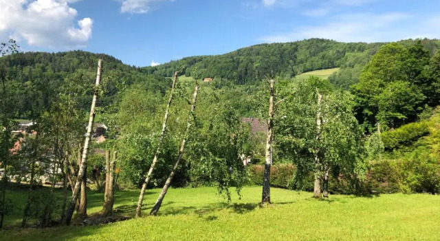 Шале Chalet de Fréland