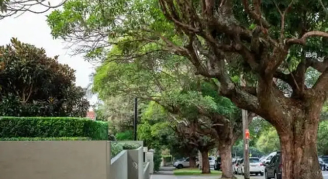 Апартаменты Luxury Escape in Bellevue Hill Apartment