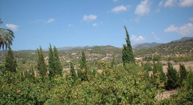 Villa Son Corco