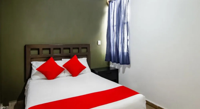 Полулюкс OYO Hotel Halley