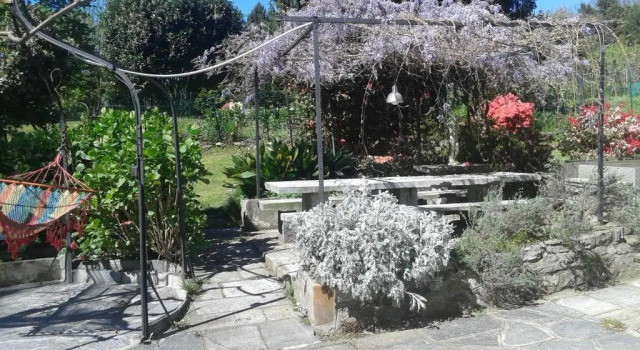 Номер Standard Swanlake B&B