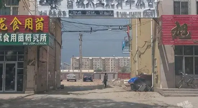 Syracuse Capsule Youth Hostel (Mudanjiang Railway Station), Prenota Ostello Ostelli a Heilongjiang, Ostello