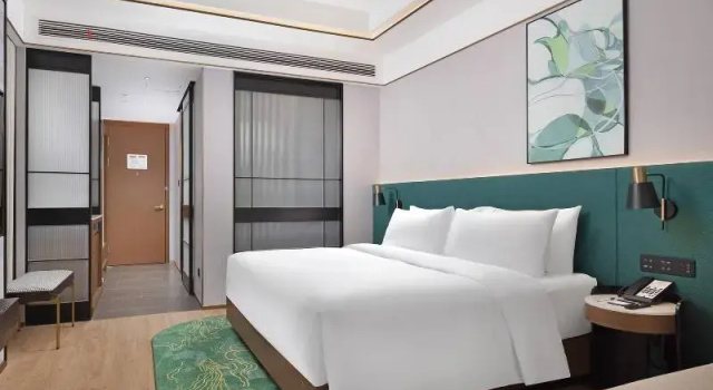 Двухместный номер Standard Hilton Garden Inn Leshan Shizhong