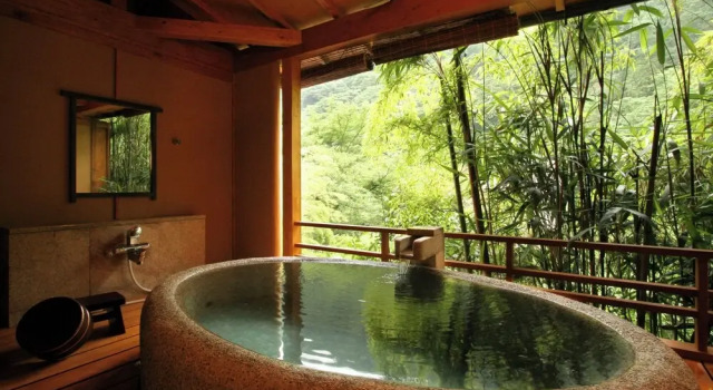 Номер Standard Tonosawa Onsen Yamano Chaya Ryokan