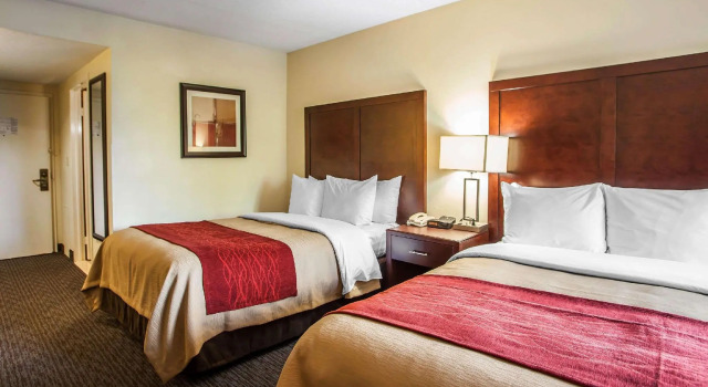 Четырёхместный номер Standard Comfort Inn Feasterville - Trevose