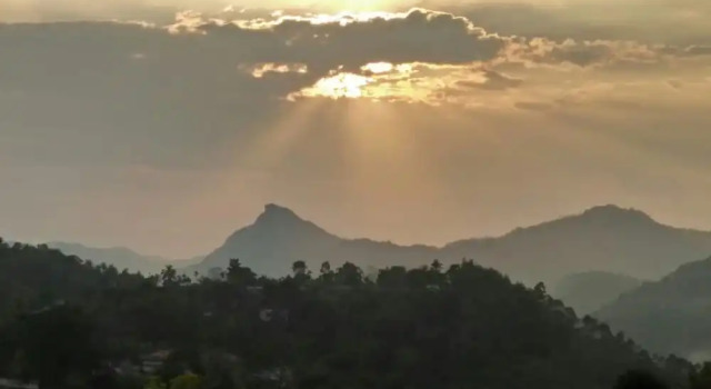 Номер Executive с балконом The Munnar Queen