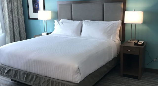 Двухместный люкс Holiday Inn & Suites Denver Tech Center-Centennial by IHG