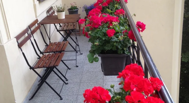 Двухместный номер Standard с балконом Dušní Apartments