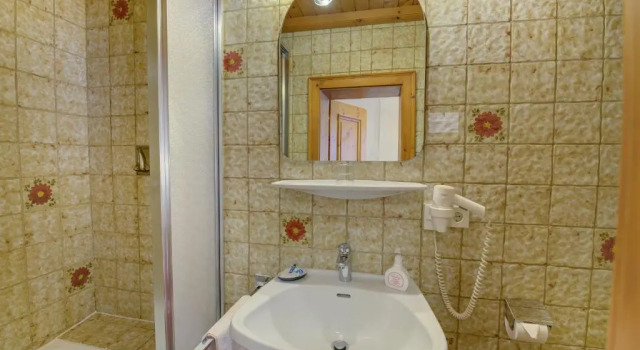Одноместный номер Standard Hotel Wechselberger by Alpeffect Hotels