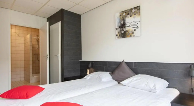 Двухместный номер Economy Aparthotel Delden