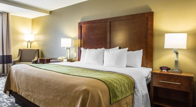 Двухместный номер Standard Comfort Inn & Suites Walterboro I-95