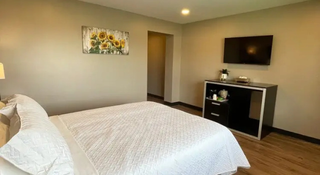 Номер Deluxe Four Seasons Inn