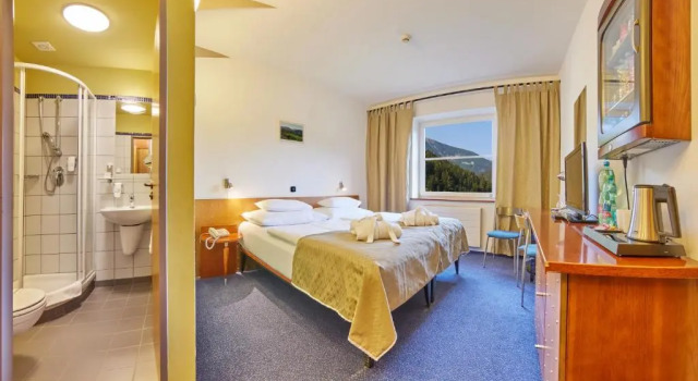 Двухместный номер Superior Hotel Horizont