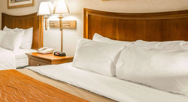 Четырёхместный номер Standard SureStay by Best Western Cherokee on the River