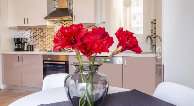 Refreshing Apartment in Beyoglu