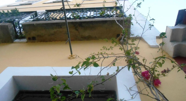 Solar das Artes Pousada Boutique