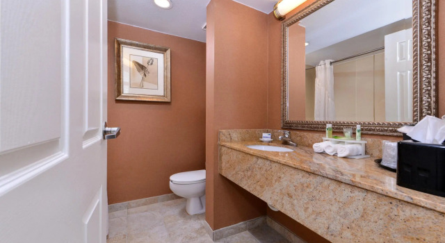 Двухместный номер Standard Holiday Inn Express Hotel Clearwater East - ICOT Center by IHG