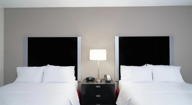 Четырёхместный номер Standard Hampton Inn and Suites Roanoke Airport/Valley View Mall