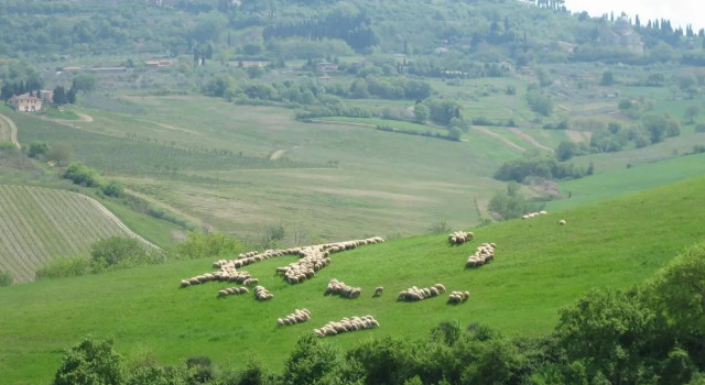 Agriturismo La Creta