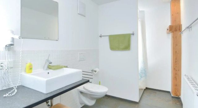 Люкс Gut Hügle Erlebnishof & Familienhotel