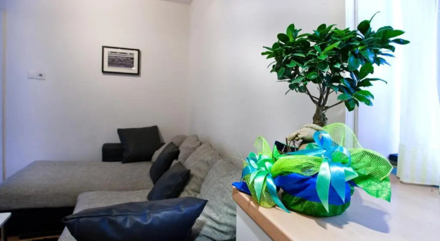 Апартаменты Apartment Banjo Polo